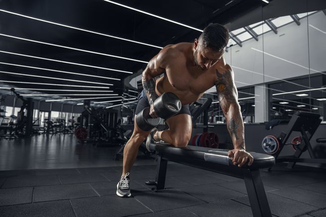 Vorteile von Steroiden zur Steigerung der Muskelkraft und -leistung beim Training